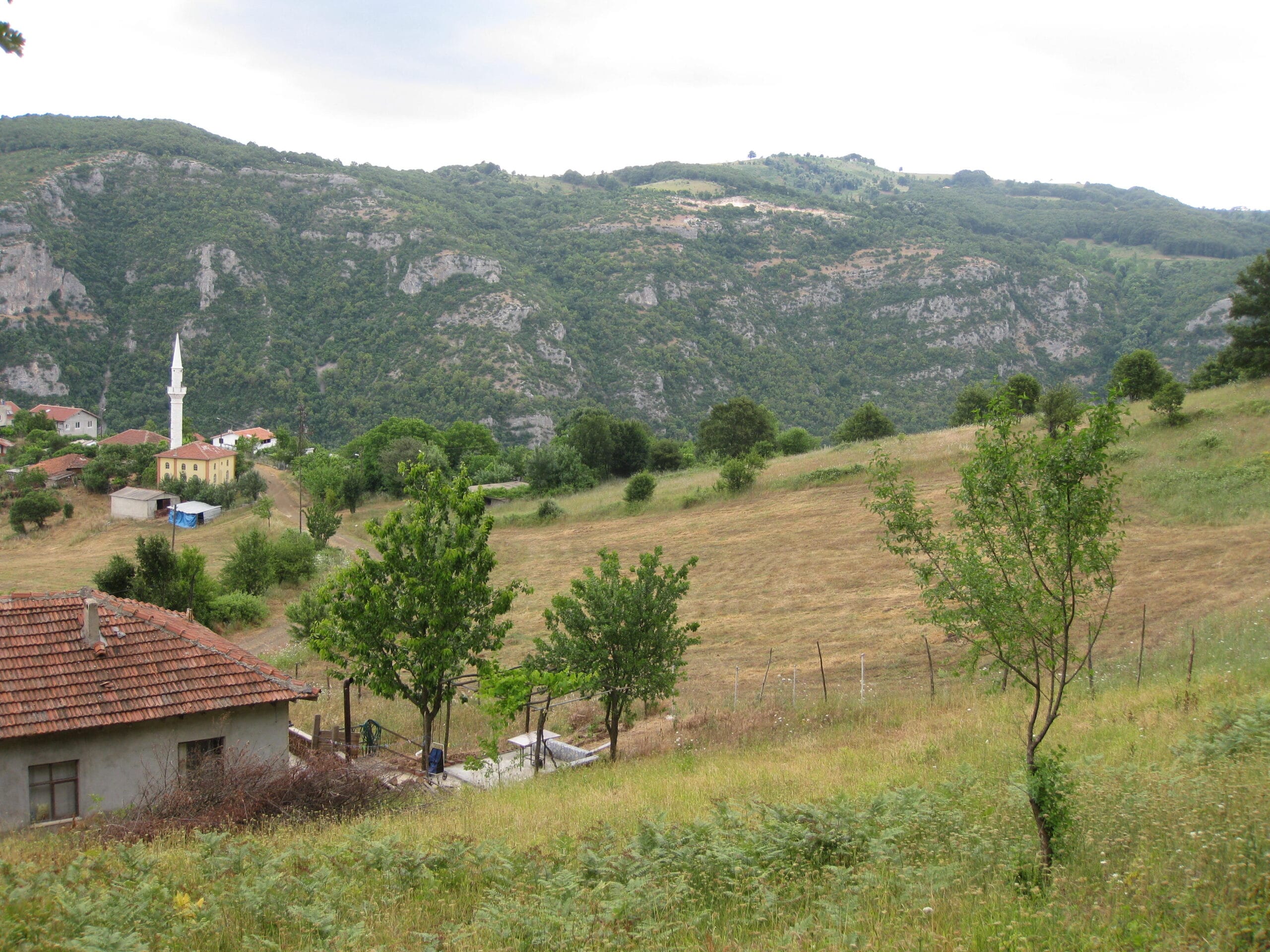 Çan